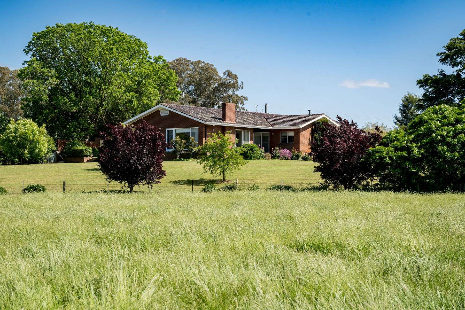3223 Riverina Highway, Bungowannah For Sale by Farmbuy.com - image 16