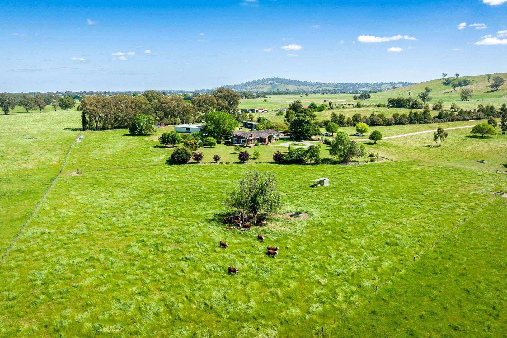 3223 Riverina Highway, Bungowannah For Sale by Farmbuy.com - image 5