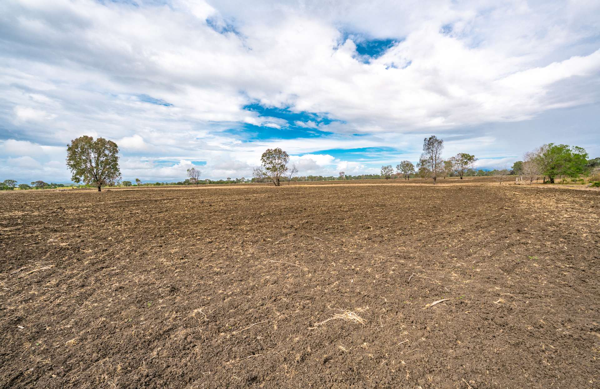 133 Woodford Road, Alton Downs For Sale by Farmbuy.com - image 9
