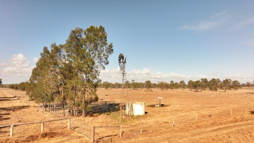 Farm For Sale - QLD - Alton Downs - 4702 - Rural Lifestyle Within Easy Reach of Rockhampton 
