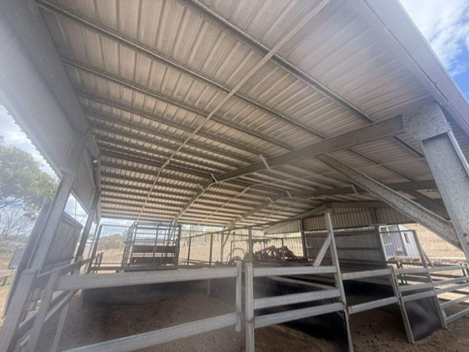 101 Morgan Street,, Kabra For Sale by Farmbuy.com - image 15