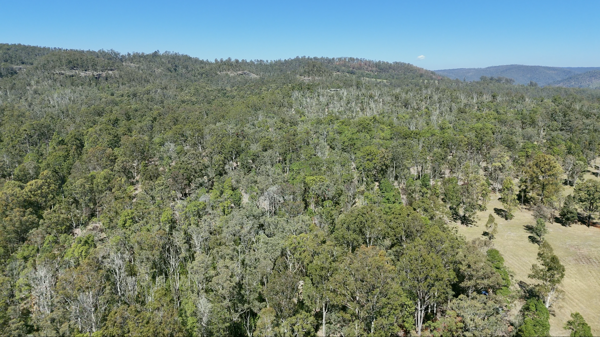 248 Laytons Range Road, Nymboida For Sale by Farmbuy.com - image 4