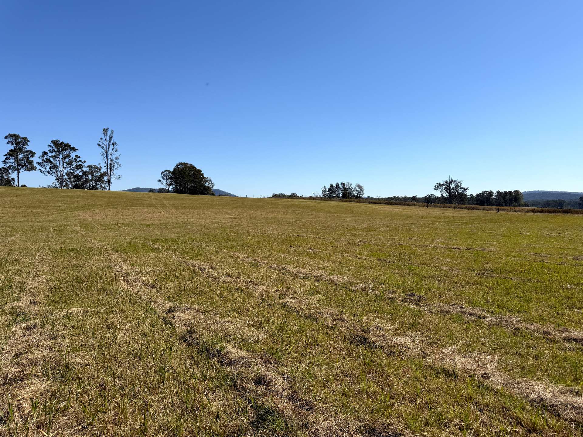 248 Laytons Range Road, Nymboida For Sale by Farmbuy.com - image 11