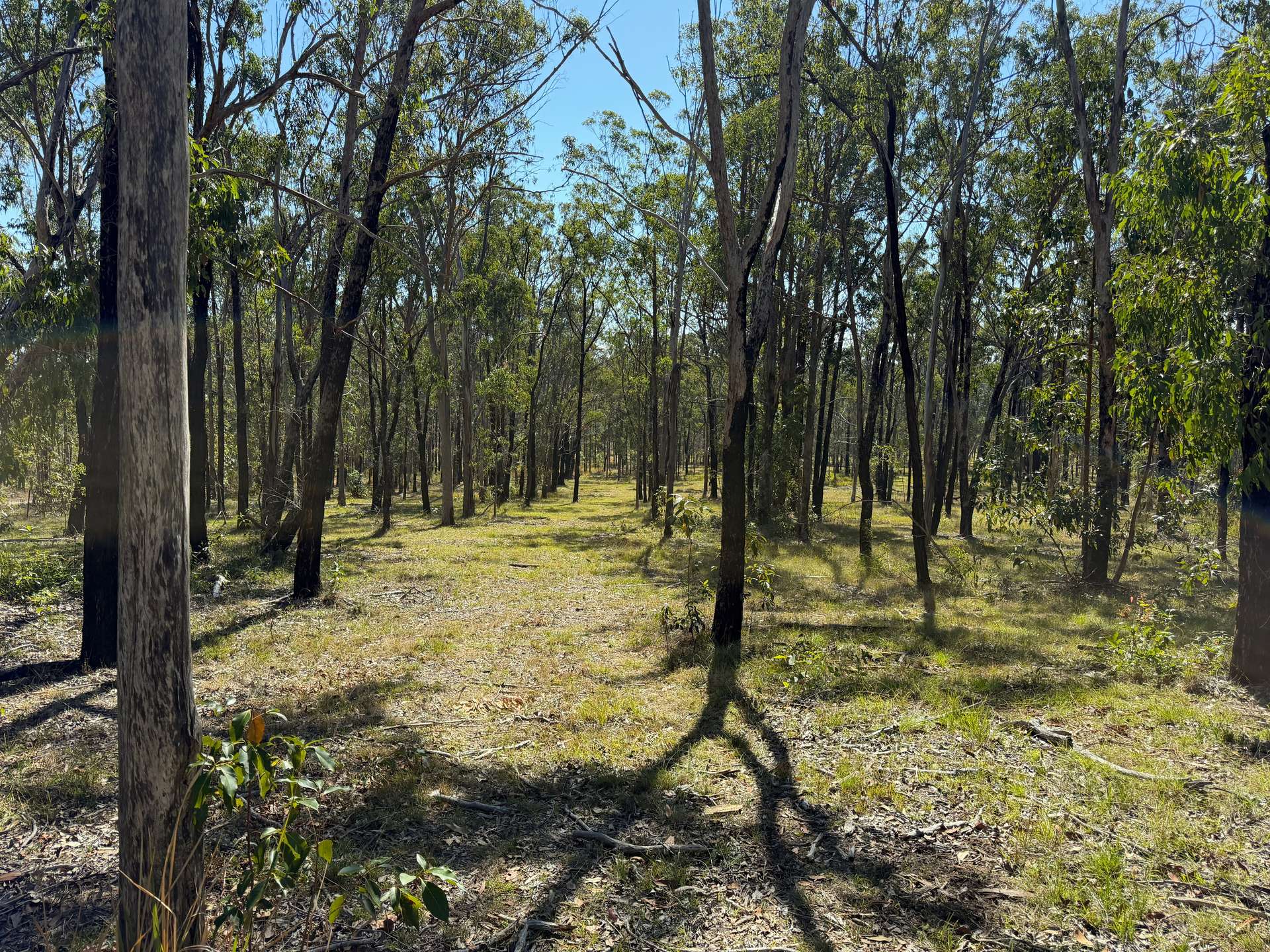 248 Laytons Range Road, Nymboida For Sale by Farmbuy.com - image 8
