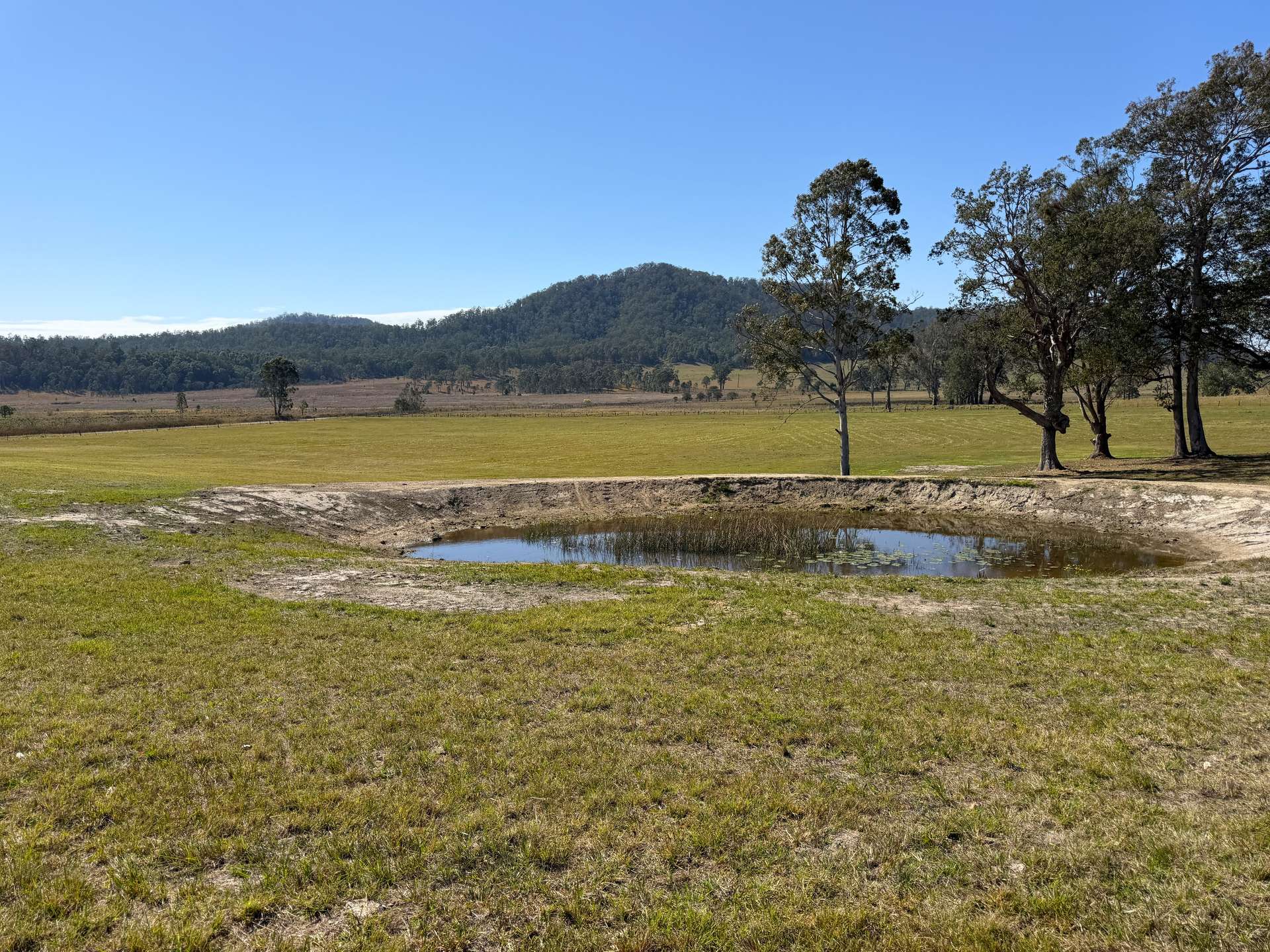 248 Laytons Range Road, Nymboida For Sale by Farmbuy.com - image 9