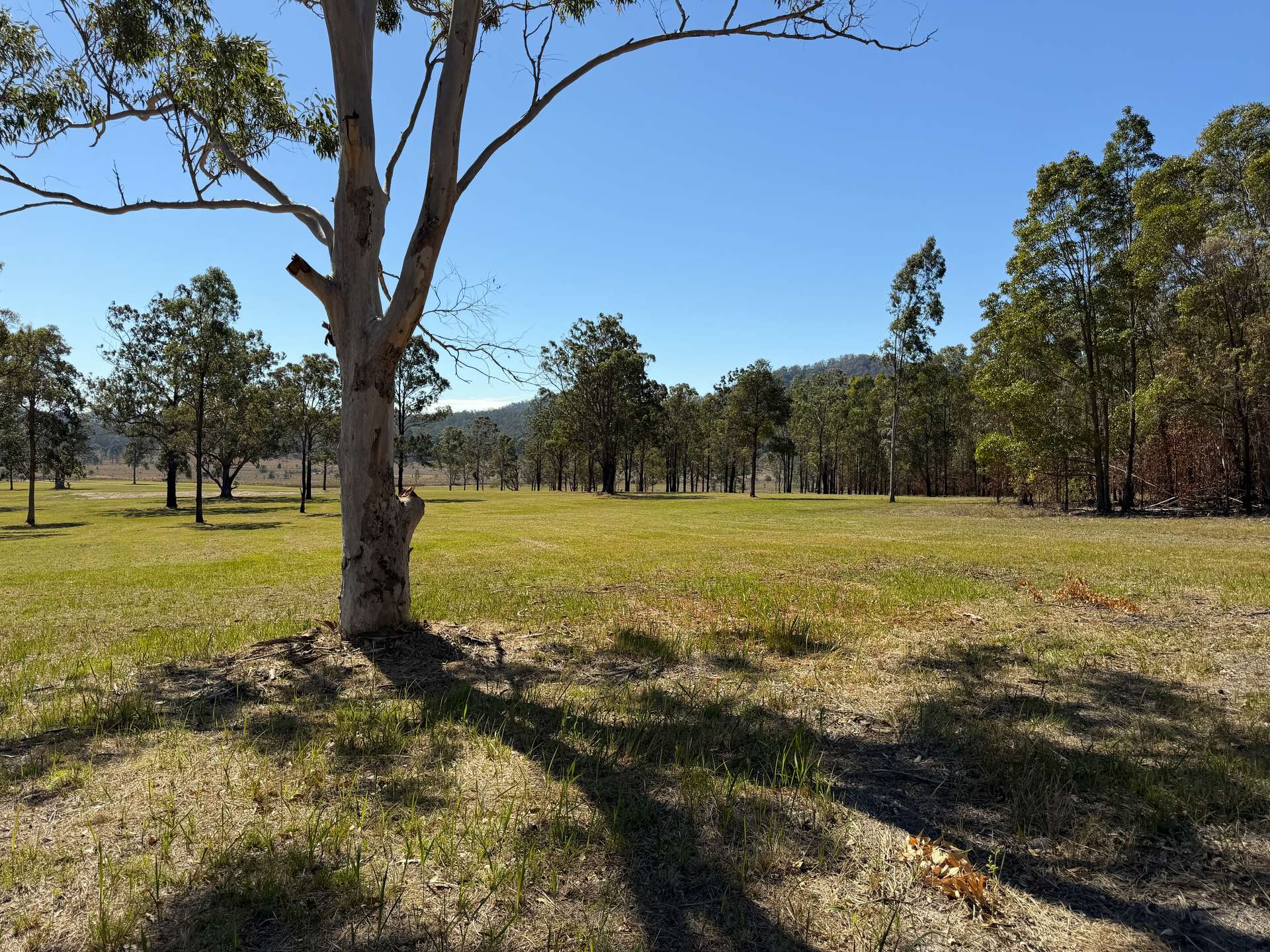 248 Laytons Range Road, Nymboida For Sale by Farmbuy.com - image 12