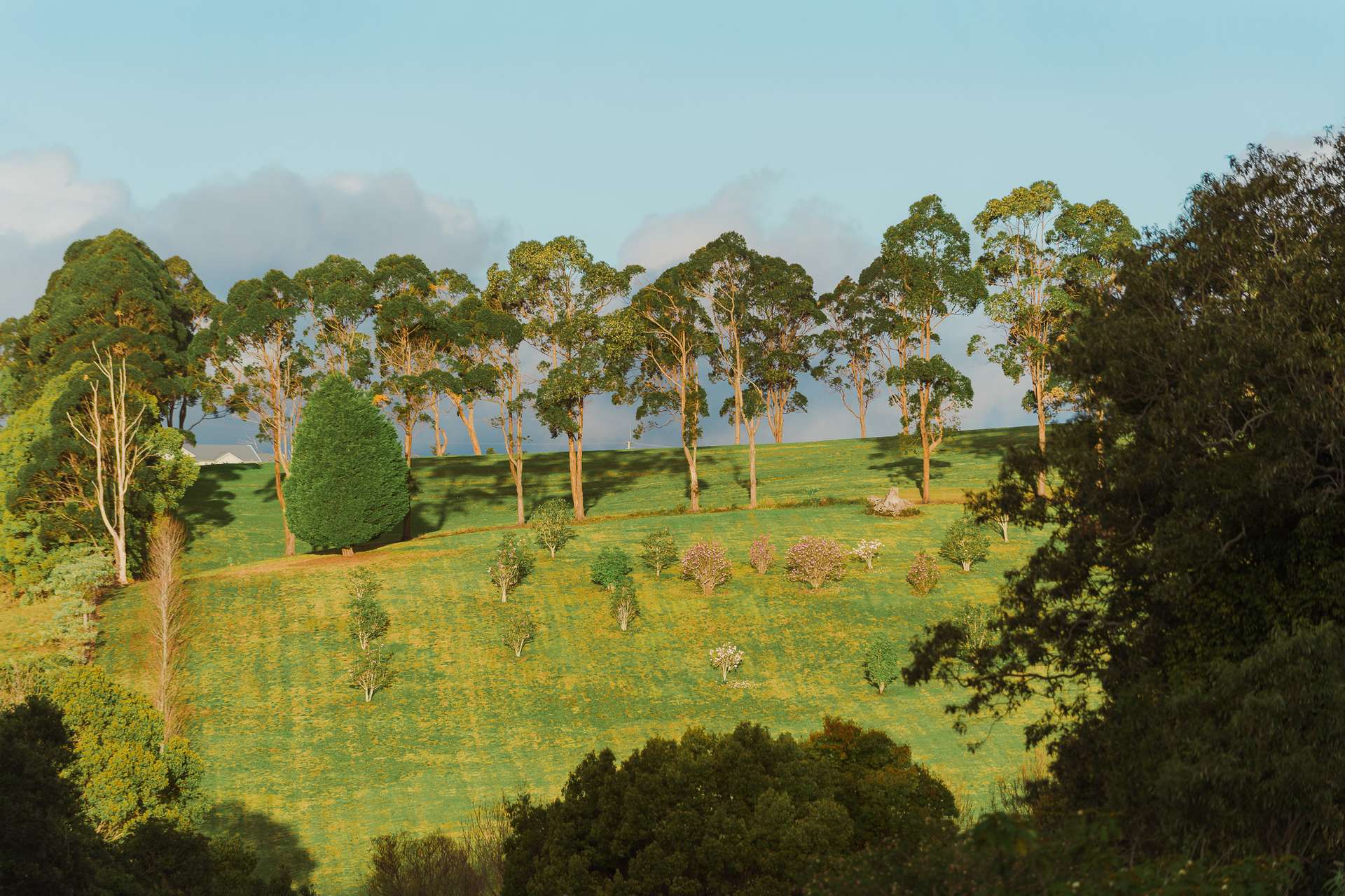 73 South West Road, Beechmont For Sale by Farmbuy.com - image 23