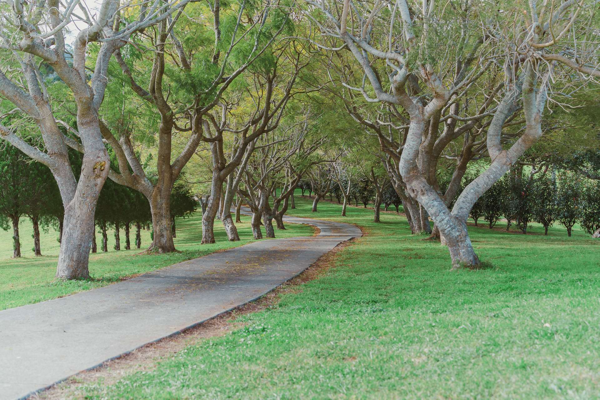 73 South West Road, Beechmont For Sale by Farmbuy.com - image 31