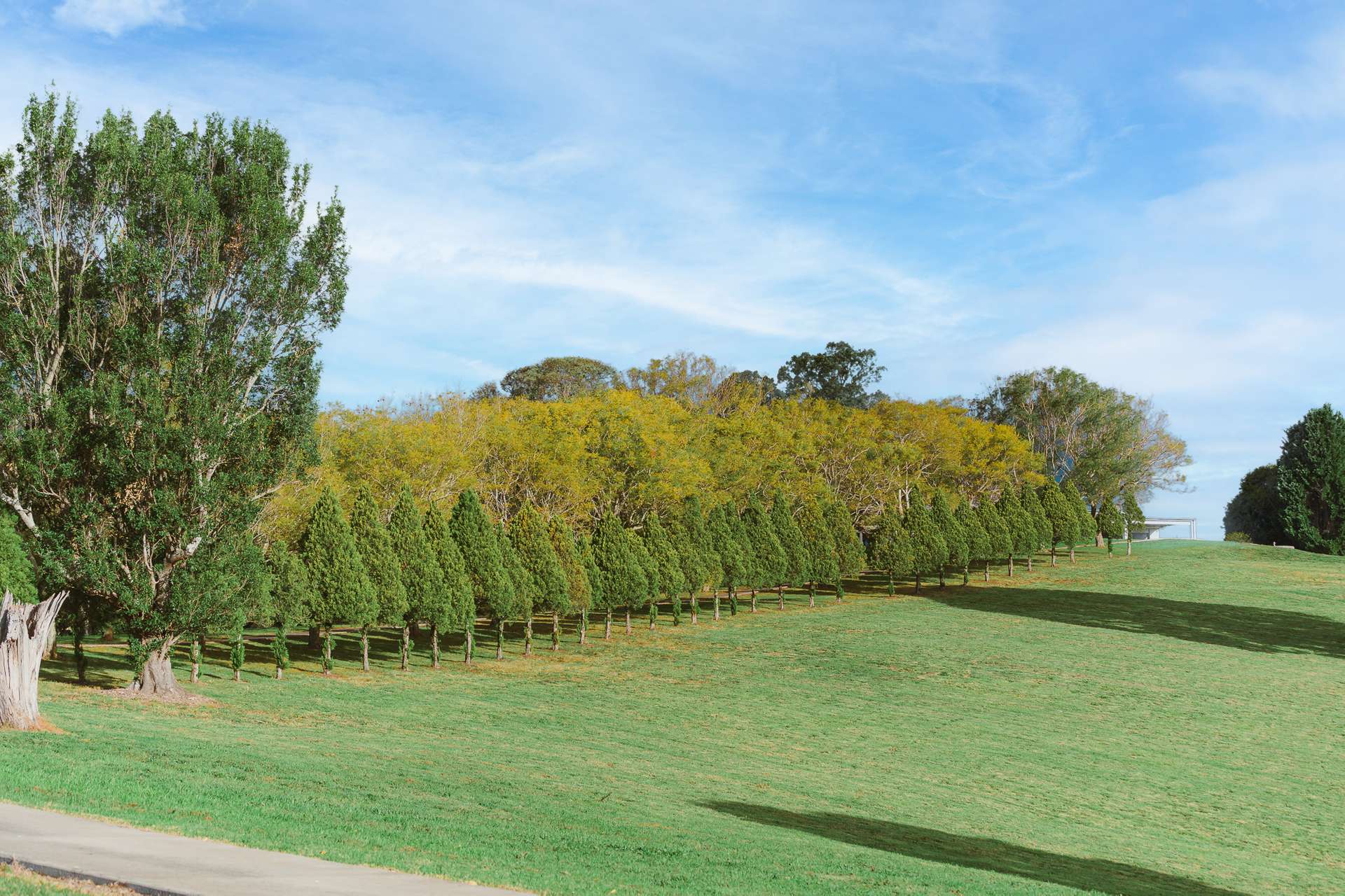 73 South West Road, Beechmont For Sale by Farmbuy.com - image 34