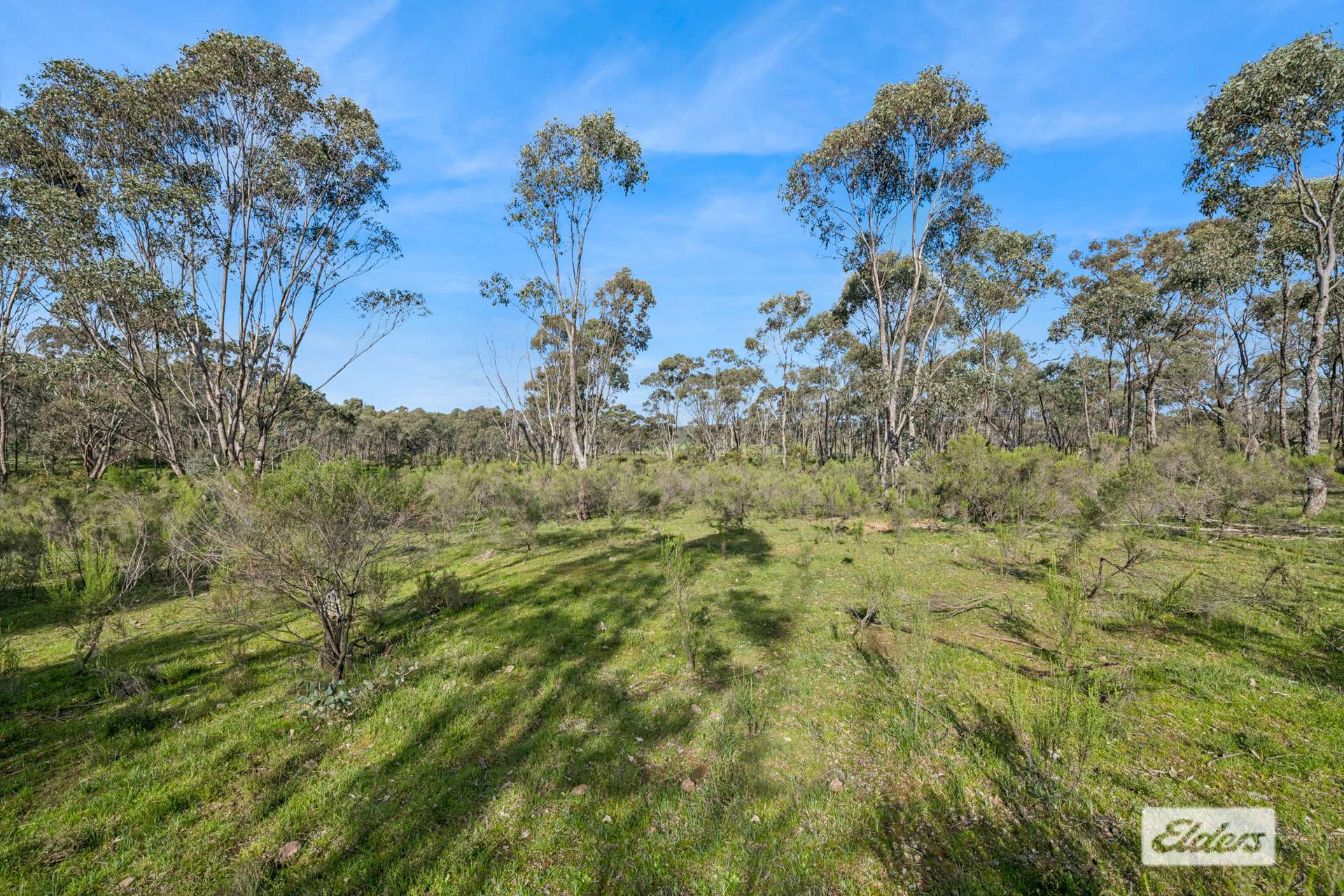 90 Enright Road, Eppalock For Sale by Farmbuy.com - image 5