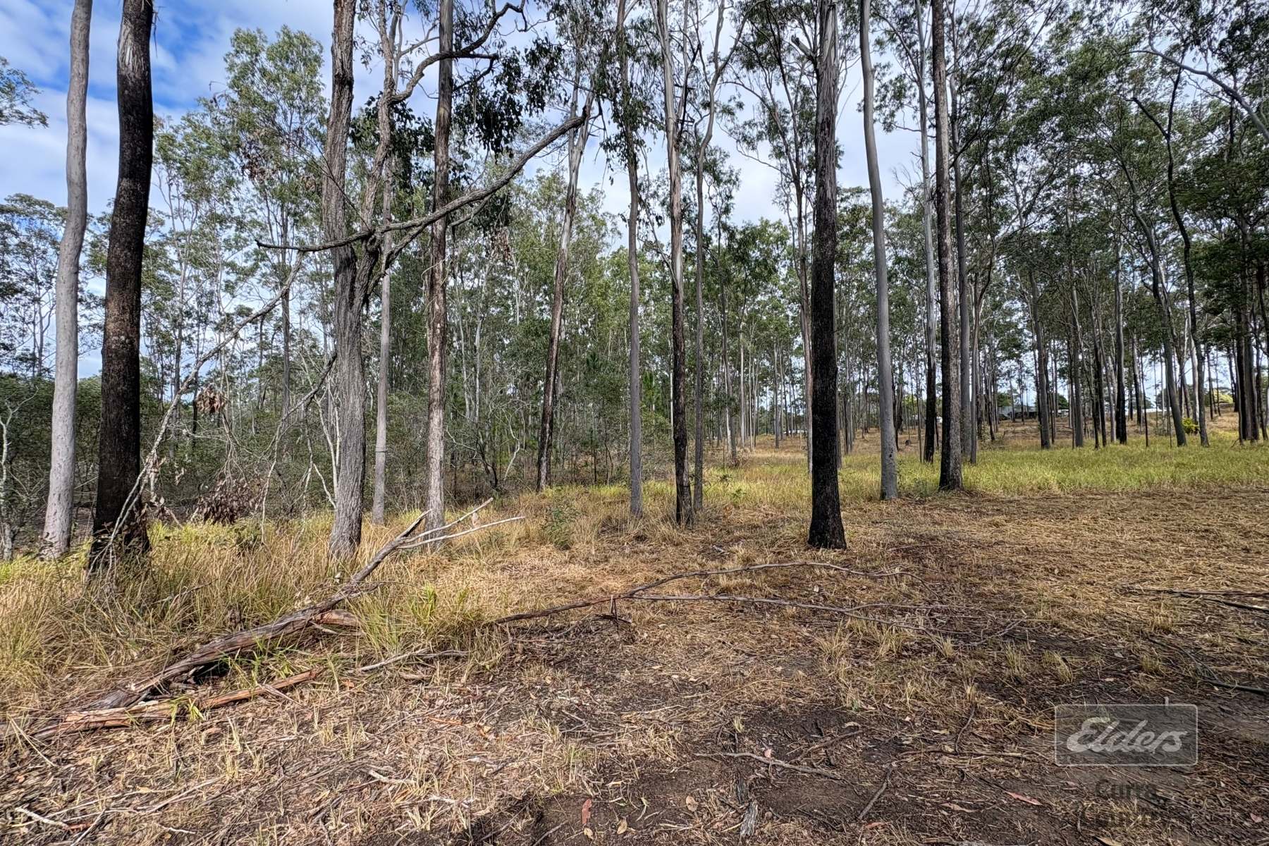 126 Arbortwenty Nine Road, Glenwood For Sale by Farmbuy.com - image 8