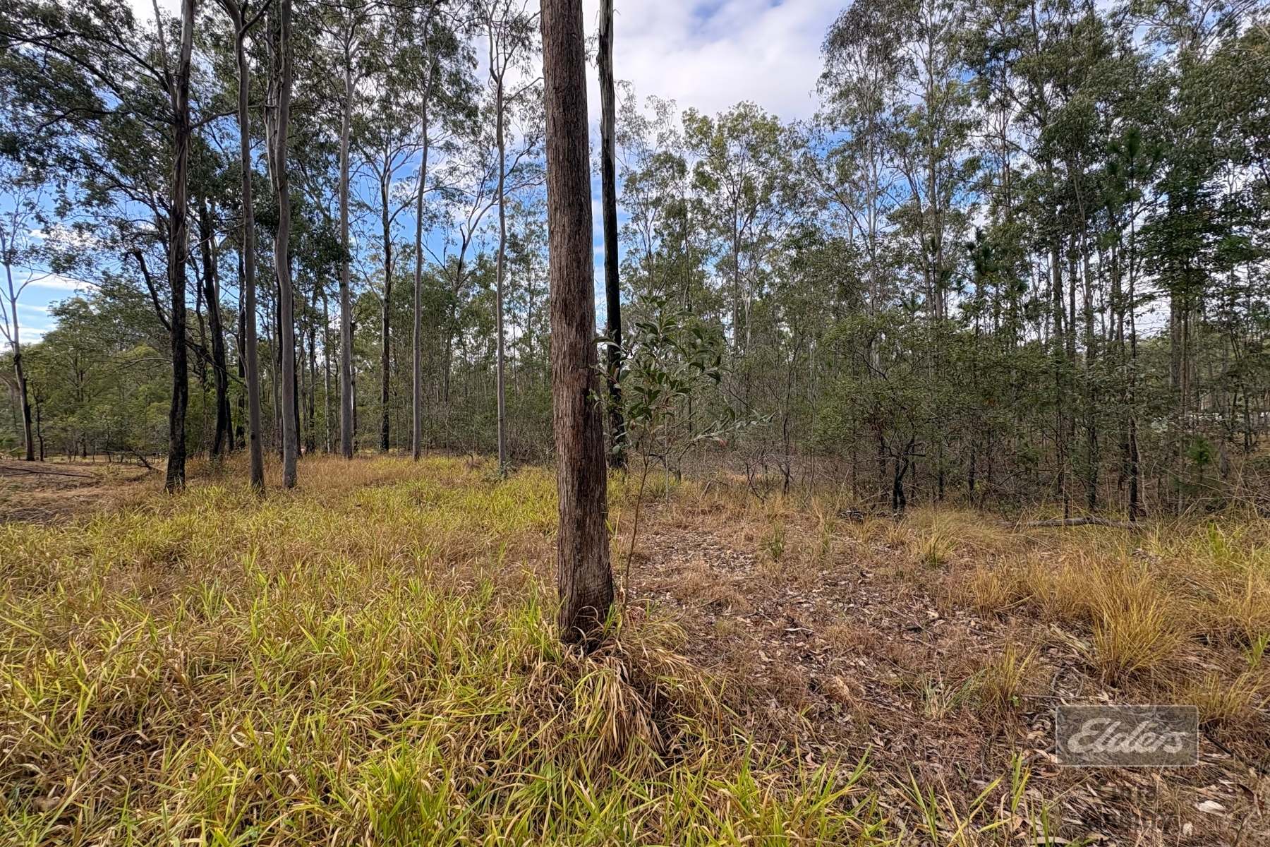 126 Arbortwenty Nine Road, Glenwood For Sale by Farmbuy.com - image 11