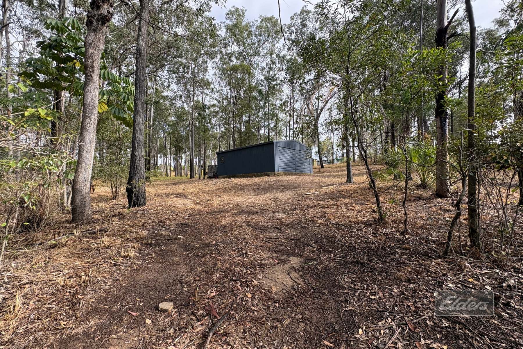 126 Arbortwenty Nine Road, Glenwood For Sale by Farmbuy.com - image 6