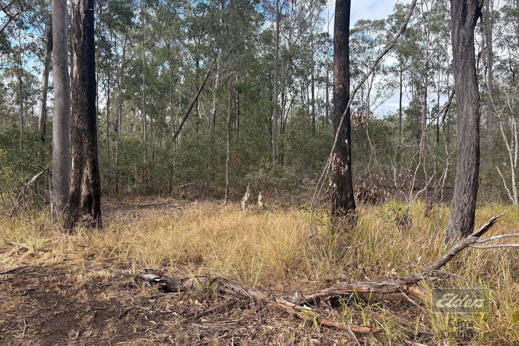 126 Arbortwenty Nine Road, Glenwood For Sale by Farmbuy.com - image 12