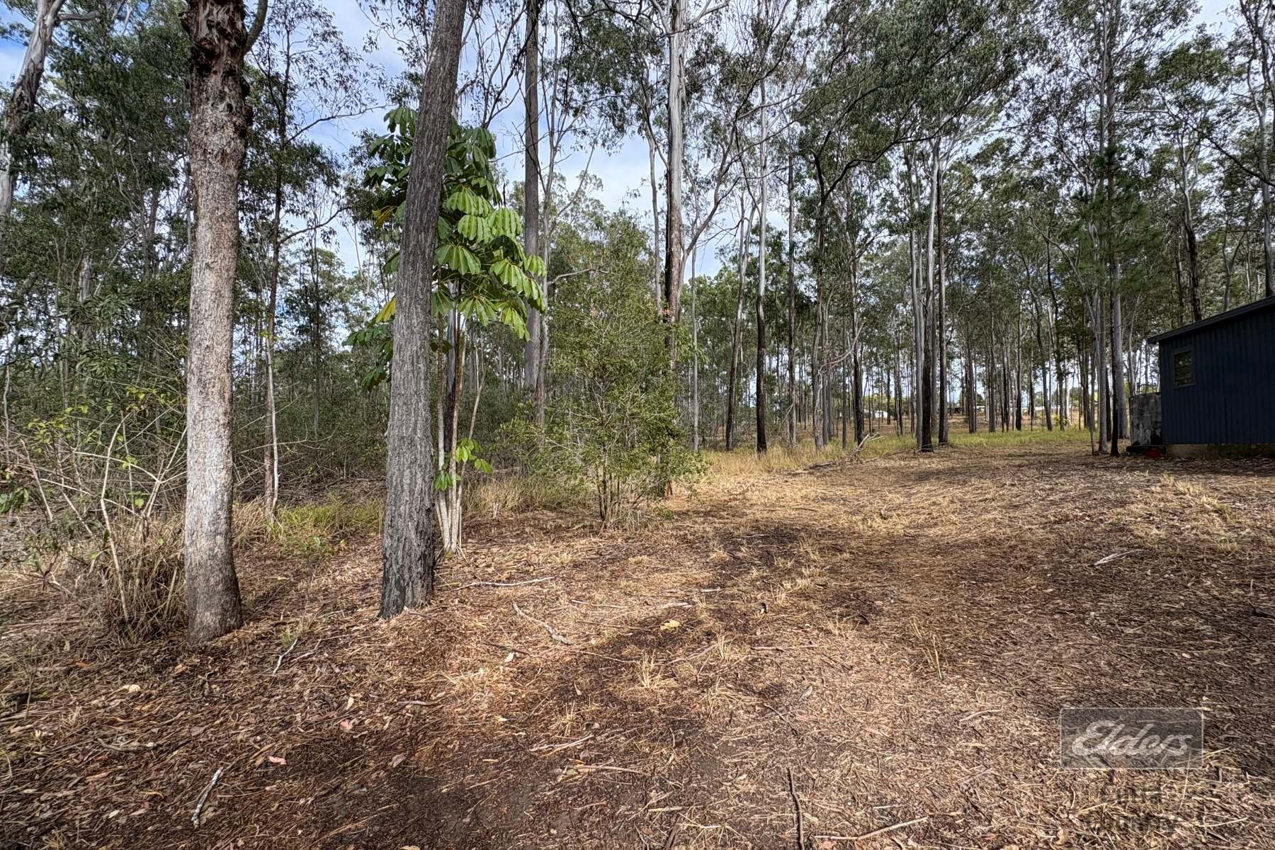 126 Arbortwenty Nine Road, Glenwood For Sale by Farmbuy.com - image 14