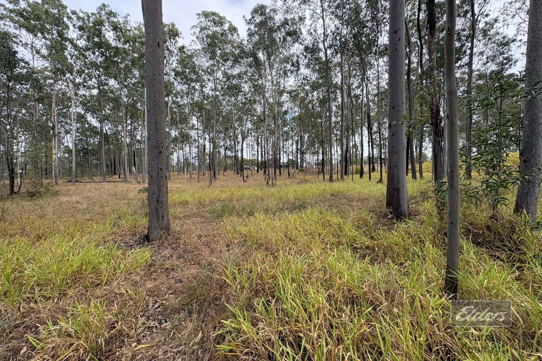 126 Arbortwenty Nine Road, Glenwood For Sale by Farmbuy.com - image 10
