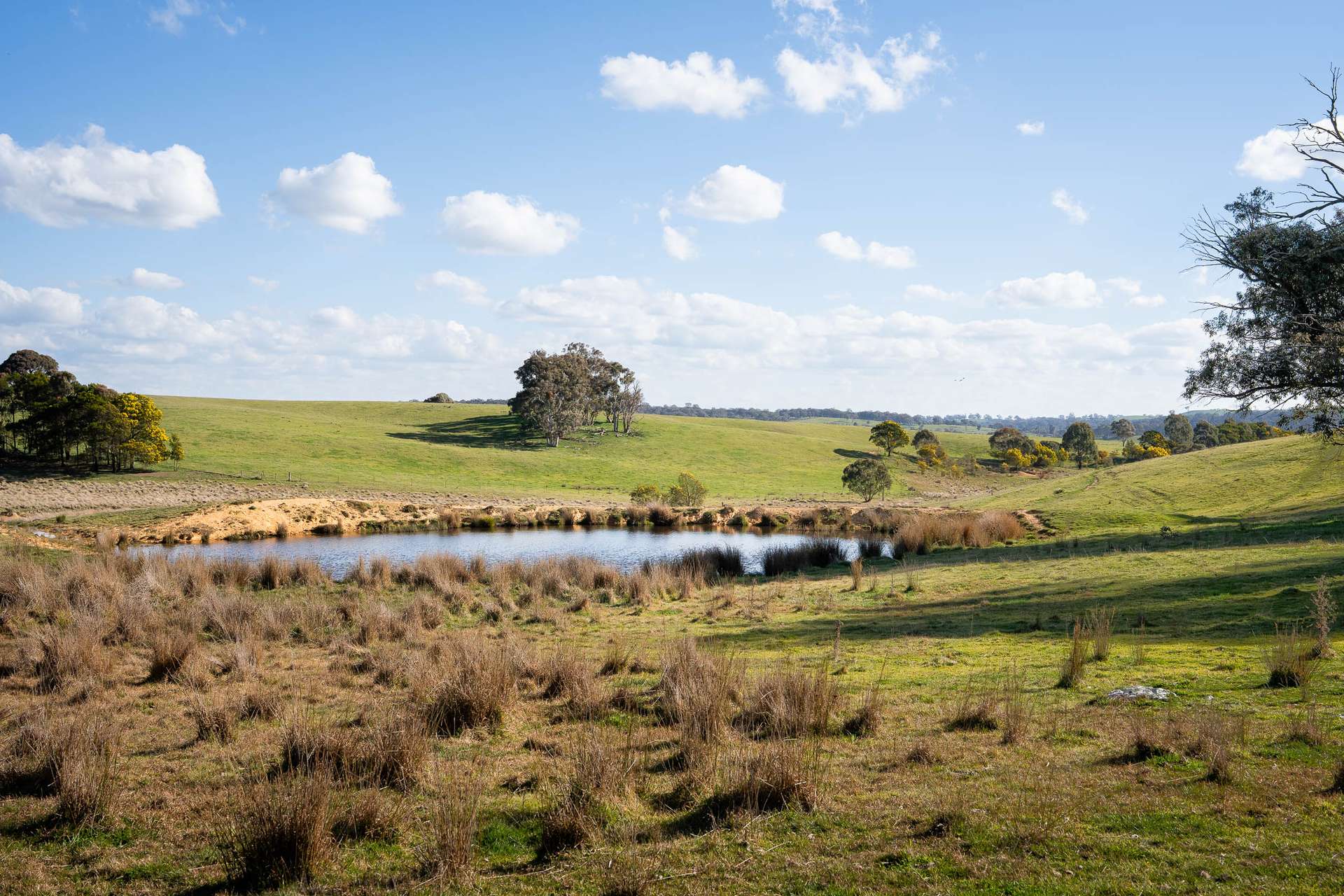 Lot 2 / 1116 Bannister Lane, Gurrundah Auction by Farmbuy.com - image 4