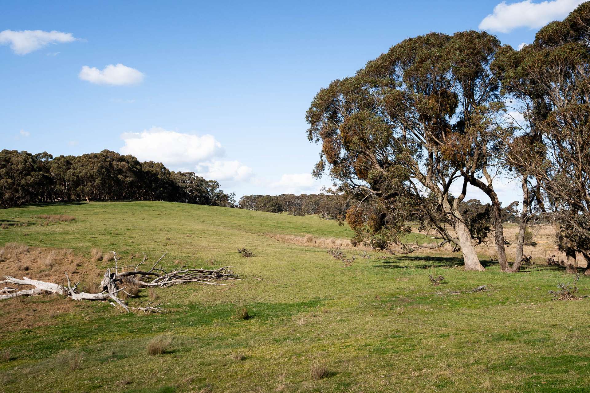 Lot 2 / 1116 Bannister Lane, Gurrundah Auction by Farmbuy.com - image 7