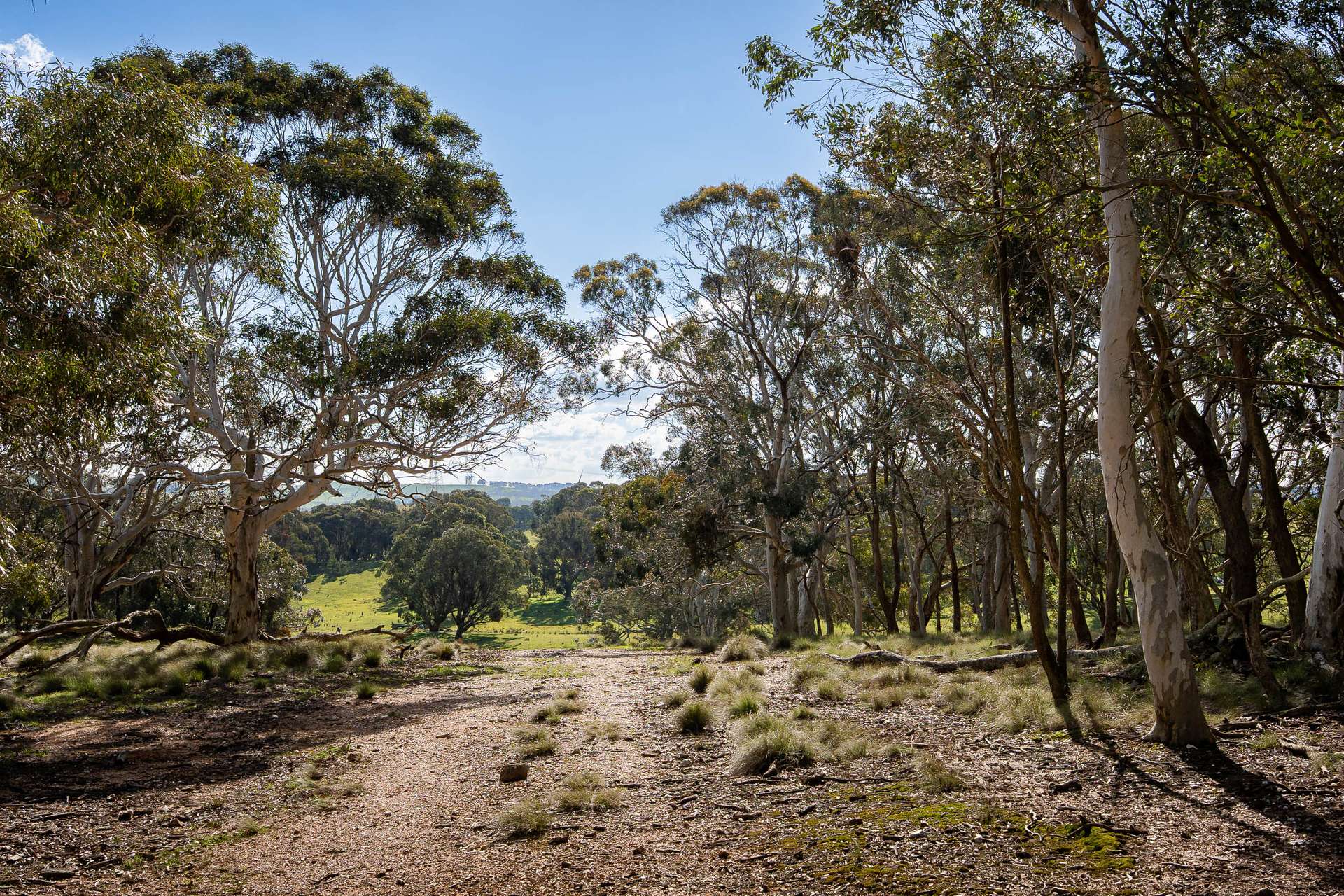 Lot 2 / 1116 Bannister Lane, Gurrundah Auction by Farmbuy.com - image 6