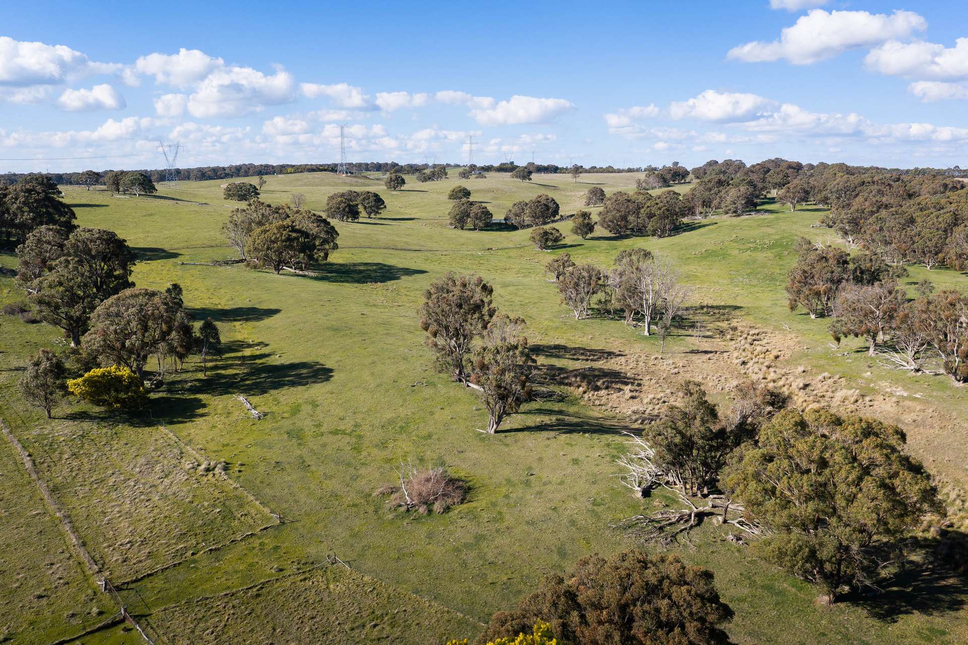 Lot 2 / 1116 Bannister Lane, Gurrundah Auction by Farmbuy.com - image 5