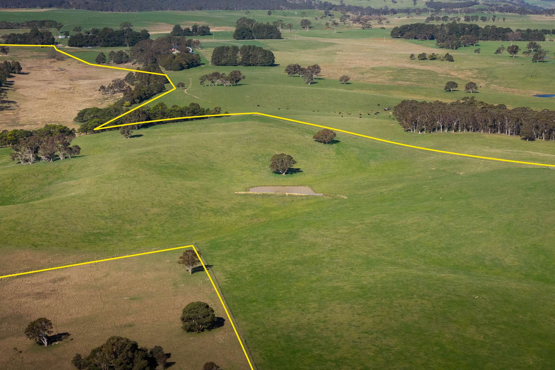 Lot 2 / 1116 Bannister Lane, Gurrundah Auction by Farmbuy.com - image 8