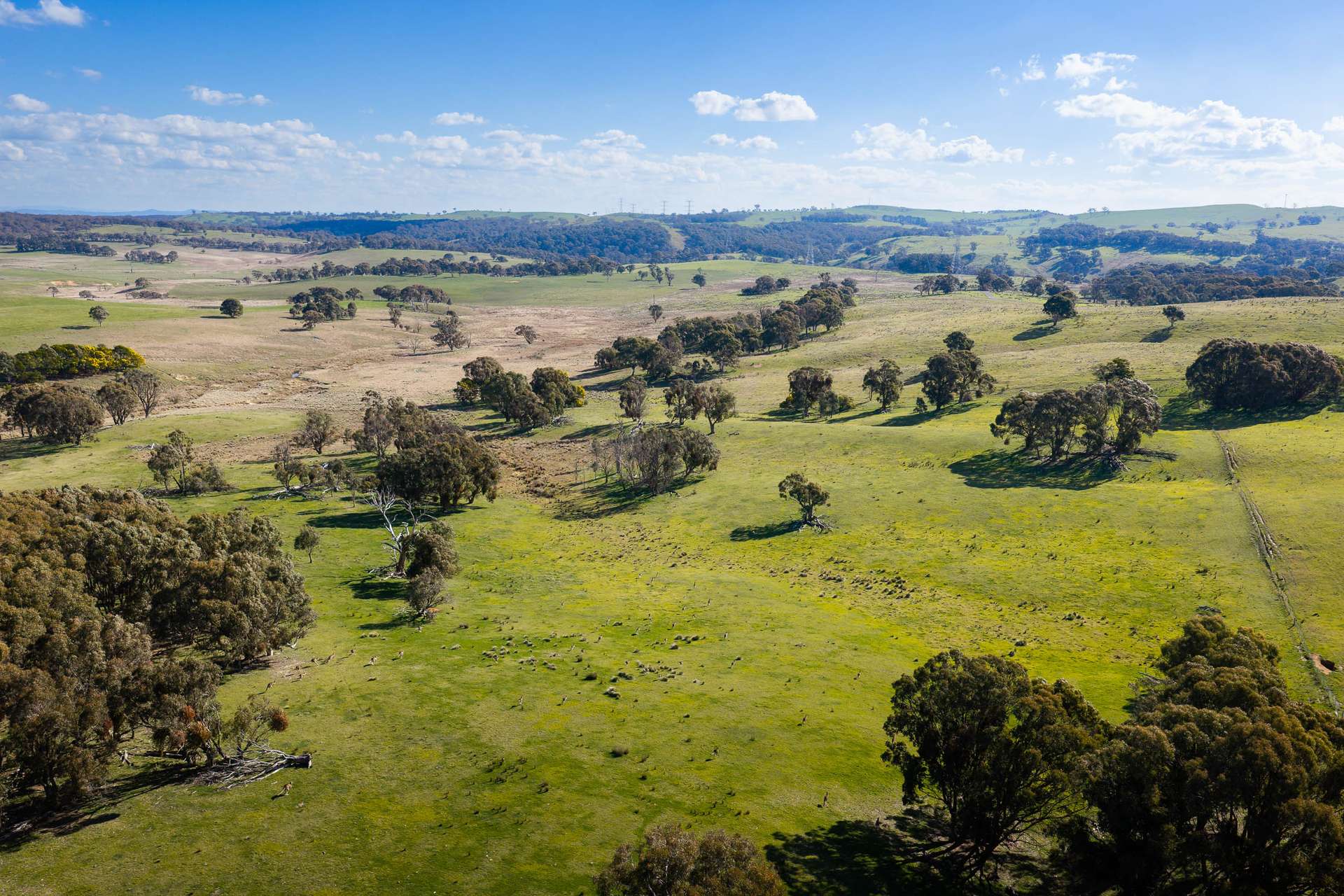 Lot 2 / 1116 Bannister Lane, Gurrundah Auction by Farmbuy.com - image 3