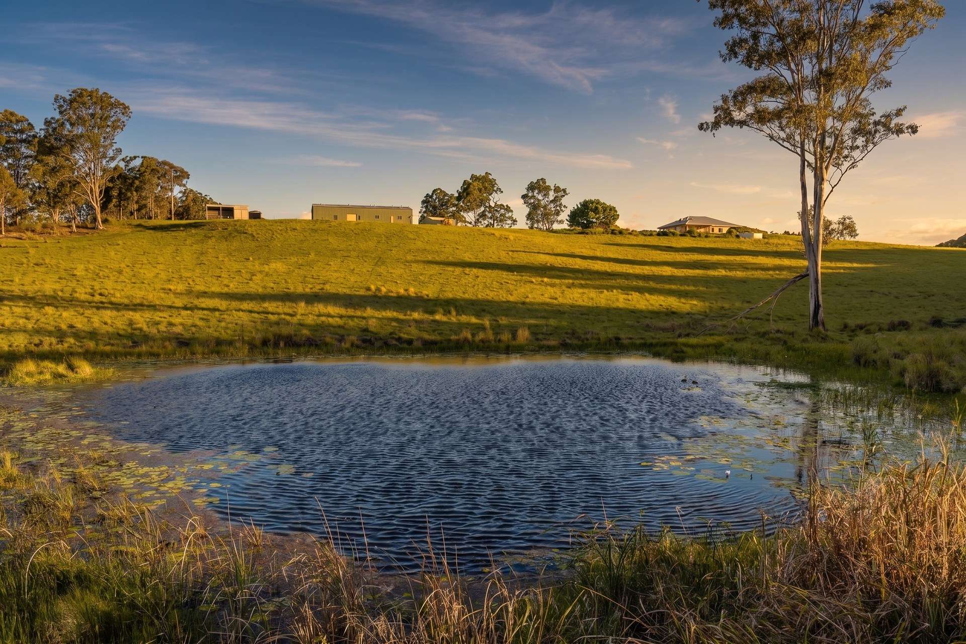 569 Counter Road, Wolvi For Sale by Farmbuy.com - image 21