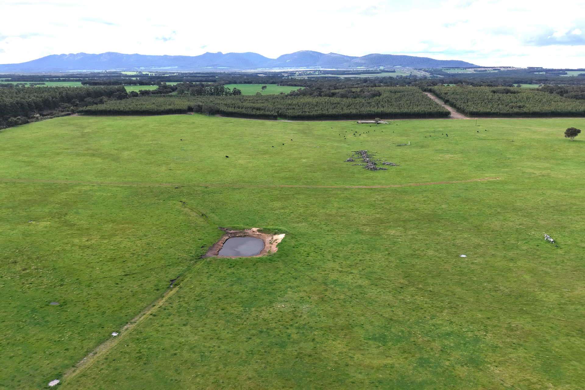 2003 Settlement Road, Napier For Sale by Farmbuy.com - image 16