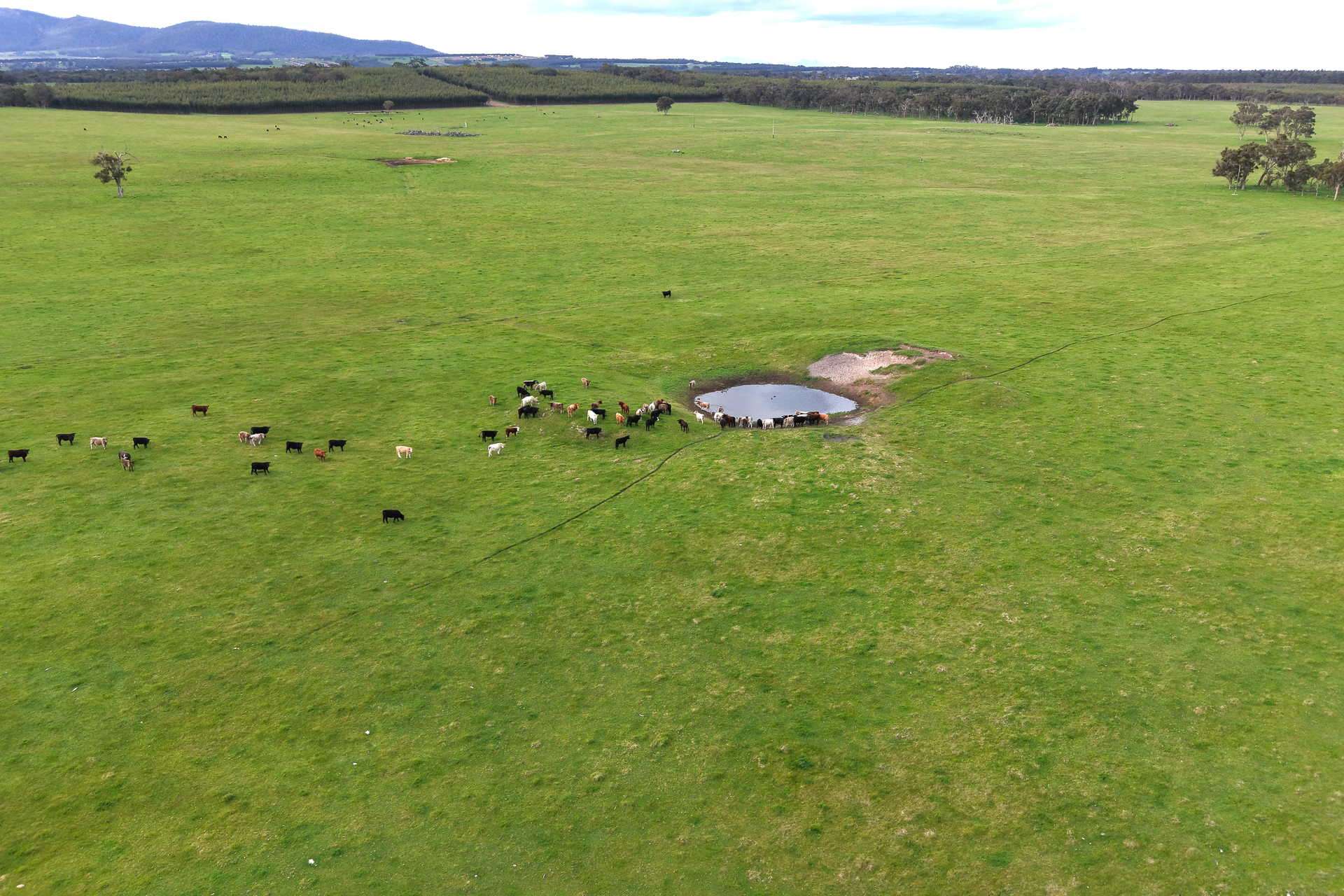 2003 Settlement Road, Napier For Sale by Farmbuy.com - image 10