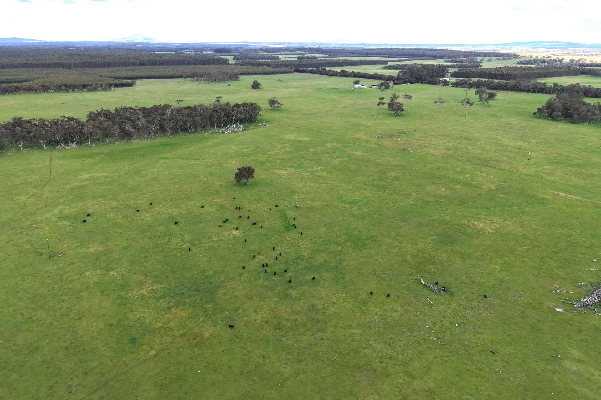 2003 Settlement Road, Napier For Sale by Farmbuy.com - image 15