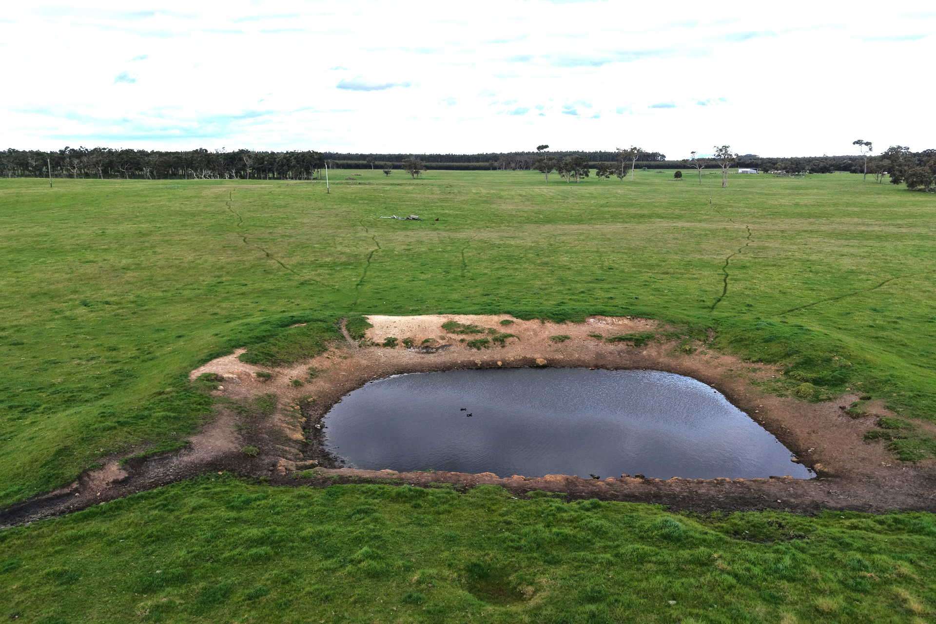 2003 Settlement Road, Napier For Sale by Farmbuy.com - image 20