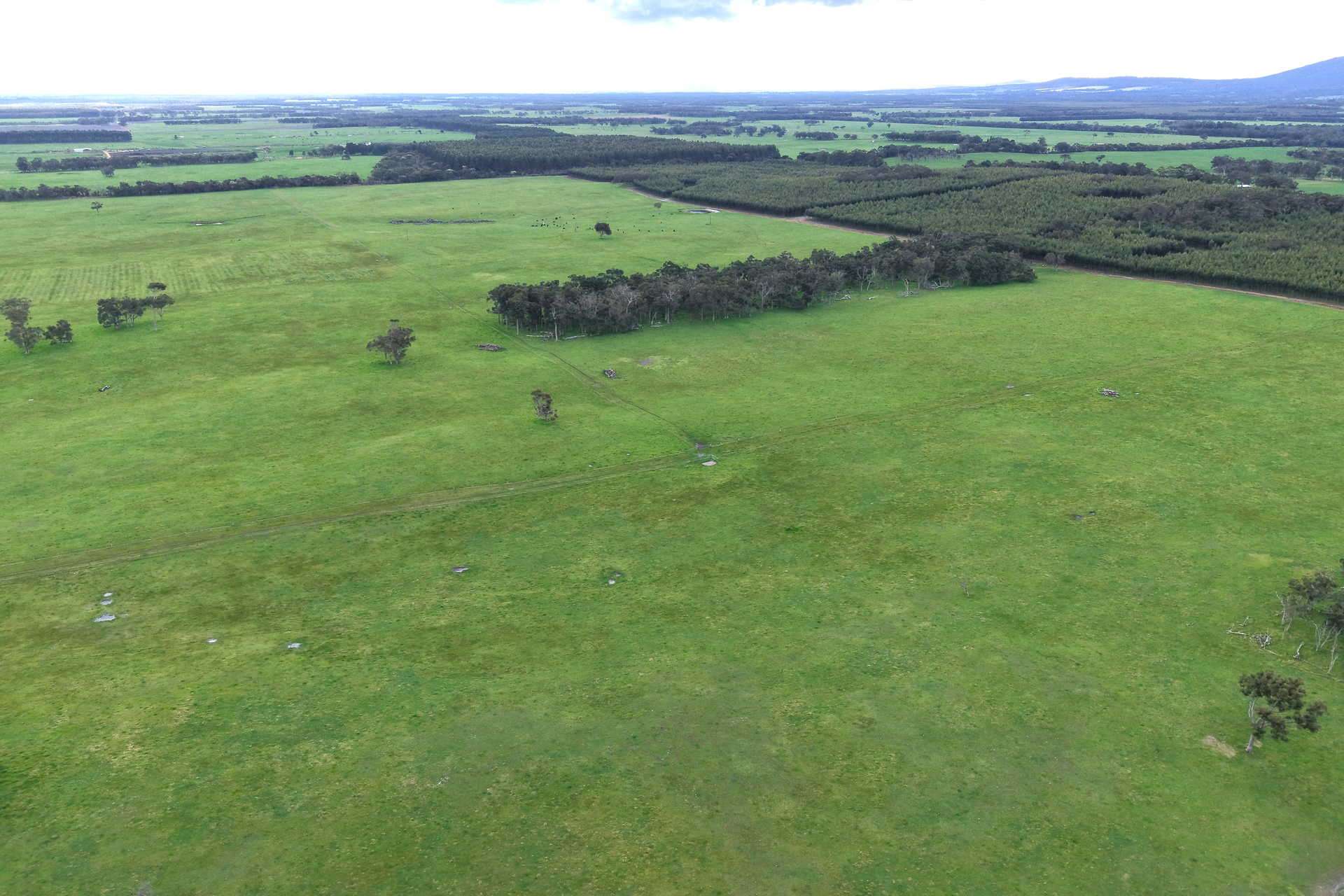 2003 Settlement Road, Napier For Sale by Farmbuy.com - image 12