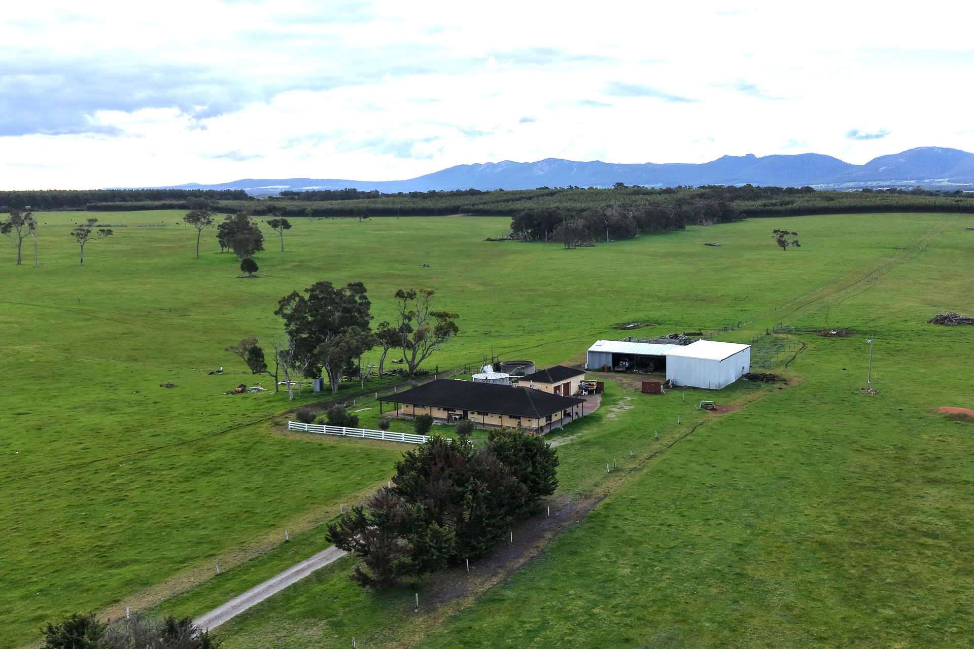 2003 Settlement Road, Napier For Sale by Farmbuy.com - image 3
