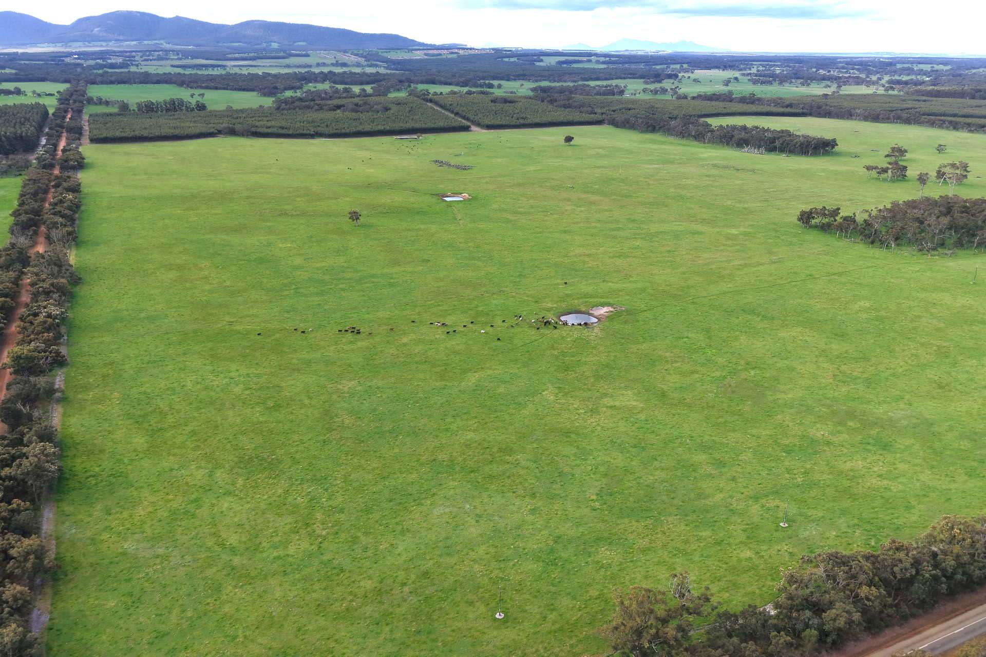 2003 Settlement Road, Napier For Sale by Farmbuy.com - image 11