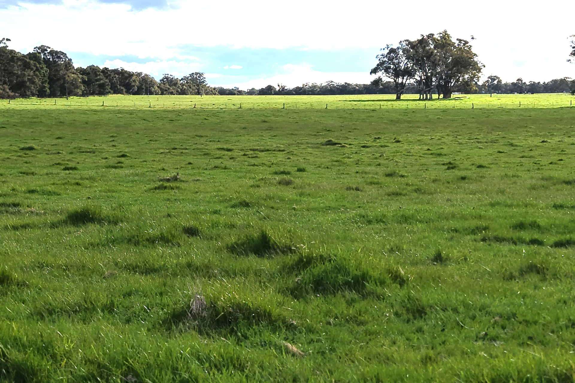 2003 Settlement Road, Napier For Sale by Farmbuy.com - image 18