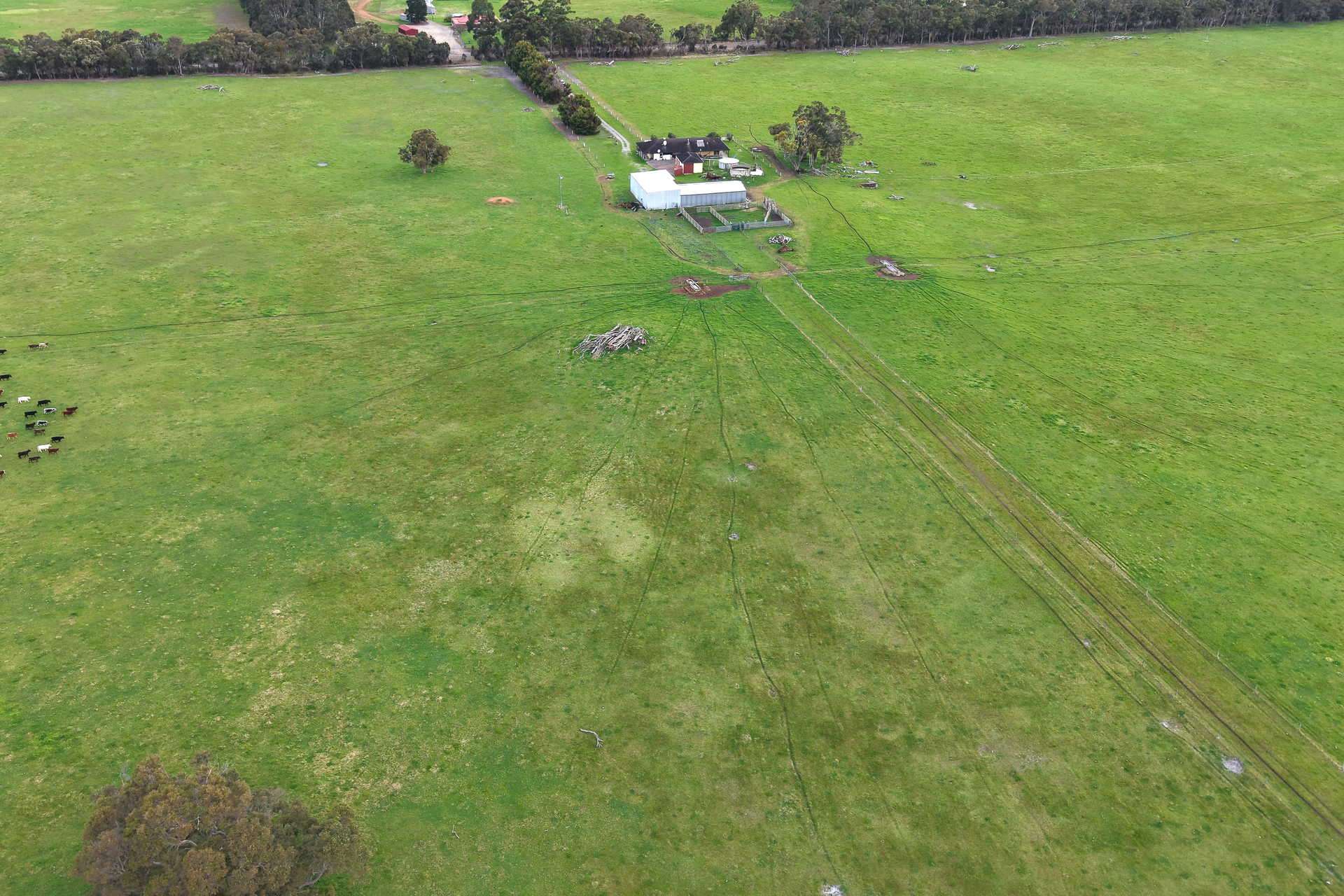 2003 Settlement Road, Napier For Sale by Farmbuy.com - image 14