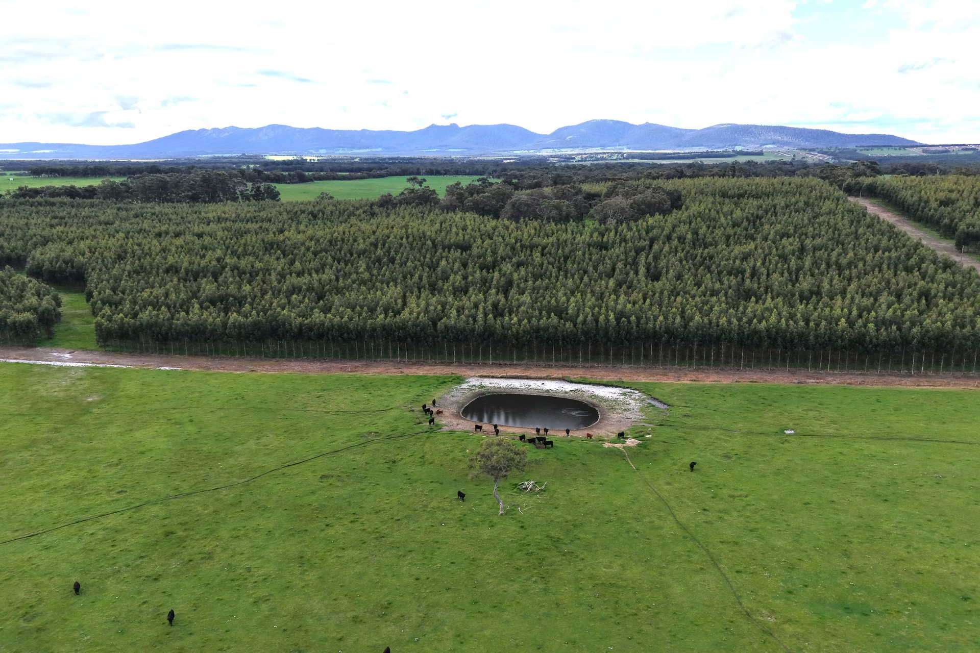 2003 Settlement Road, Napier For Sale by Farmbuy.com - image 21