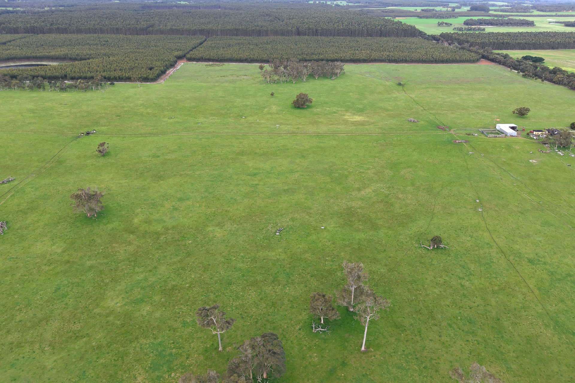 2003 Settlement Road, Napier For Sale by Farmbuy.com - image 13