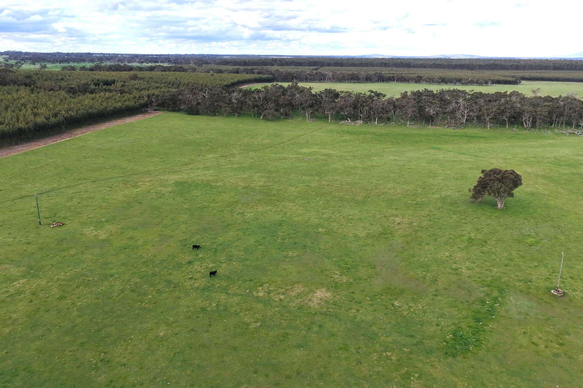 2003 Settlement Road, Napier For Sale by Farmbuy.com - image 17