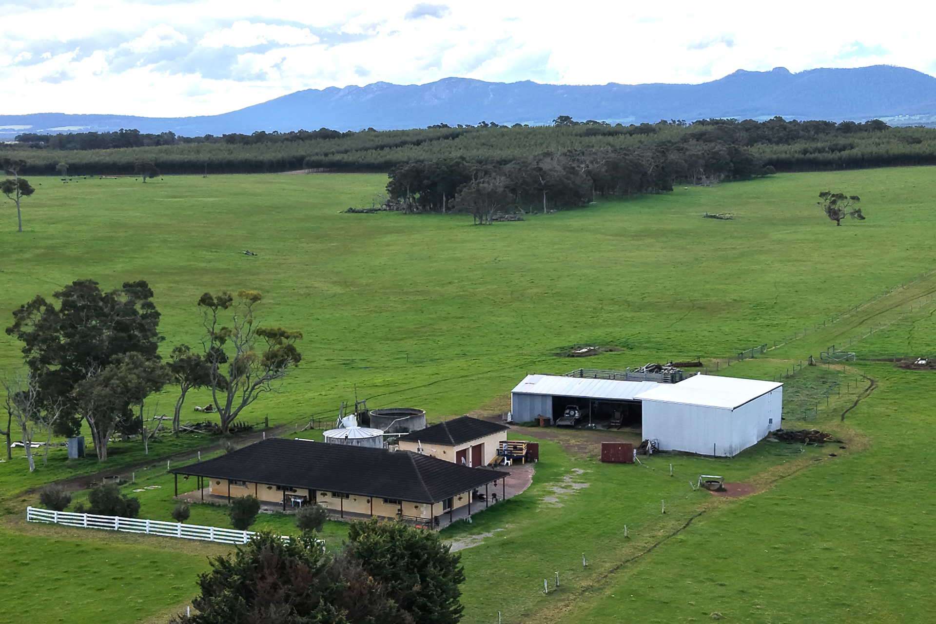 2003 Settlement Road, Napier For Sale by Farmbuy.com - image 2