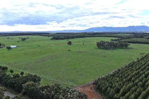 Farm For Sale - WA - Napier - 6330 - Rural Lifestyle and Income Opportunity Close to Albany and Mount Barker 
