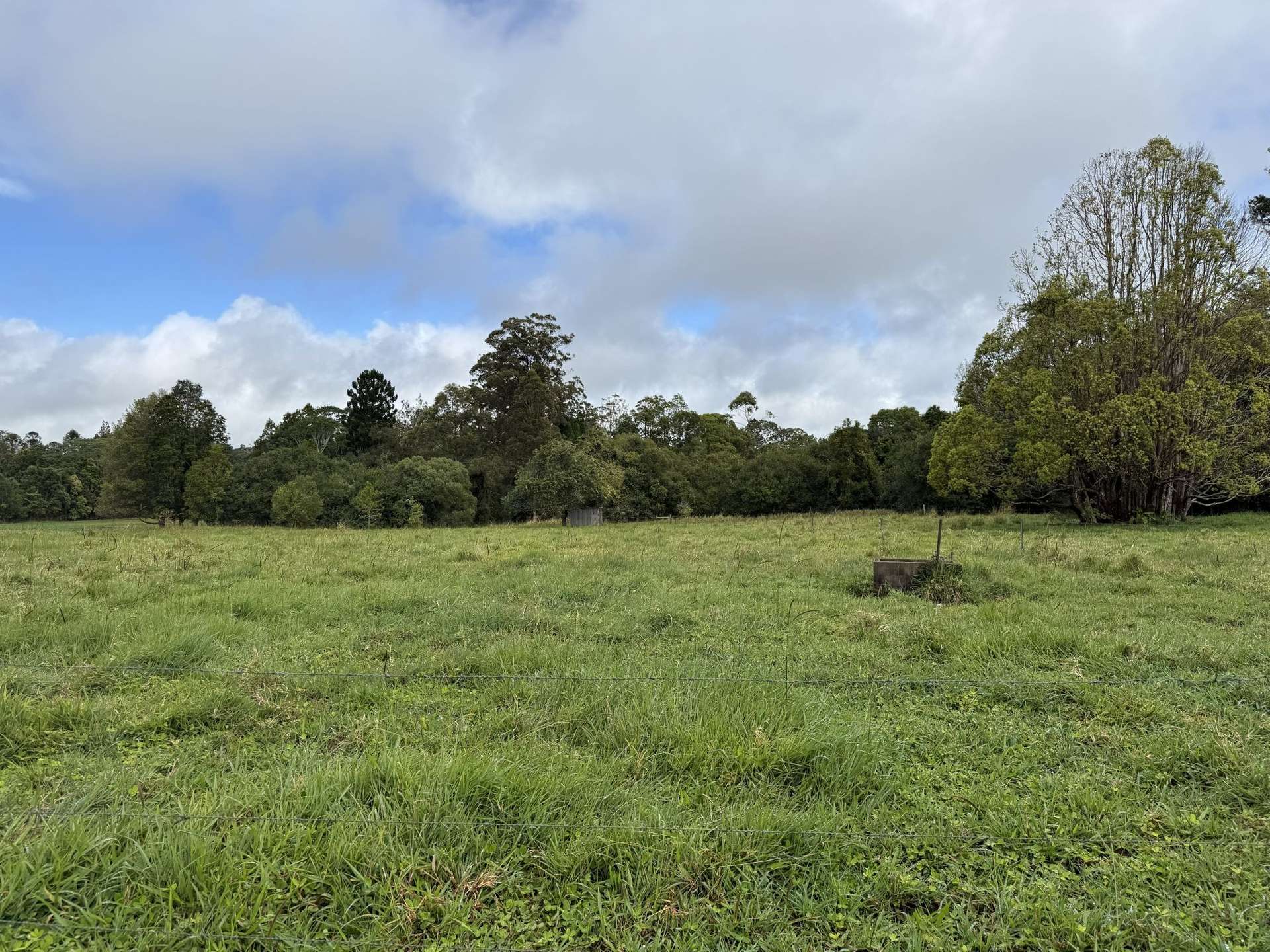 14 Croft Road, Malanda For Sale by Farmbuy.com - image 30