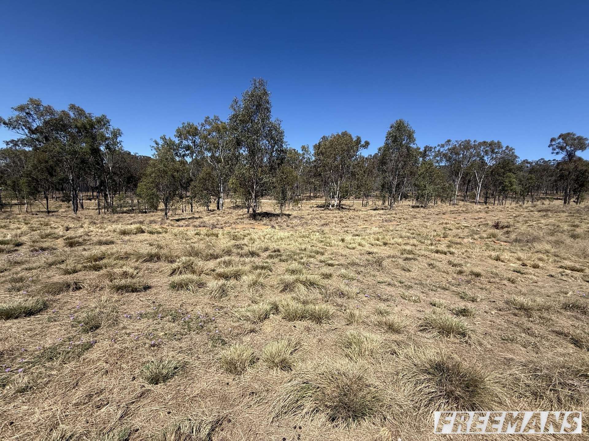 53 Luna Rise, Nanango For Sale by Farmbuy.com - image 2
