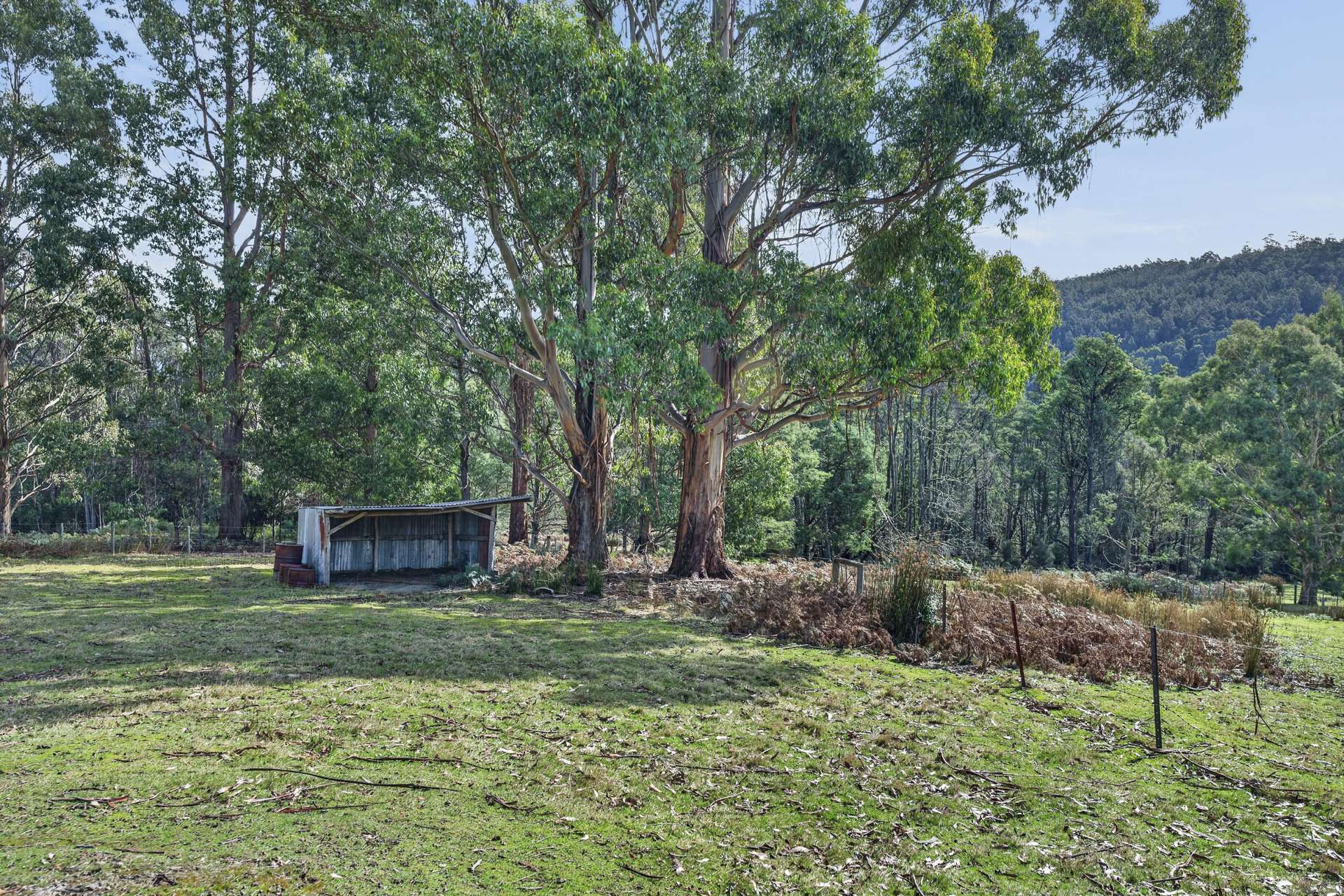 144 Umfrevilles Road, Kaoota For Sale by Farmbuy.com - image 19