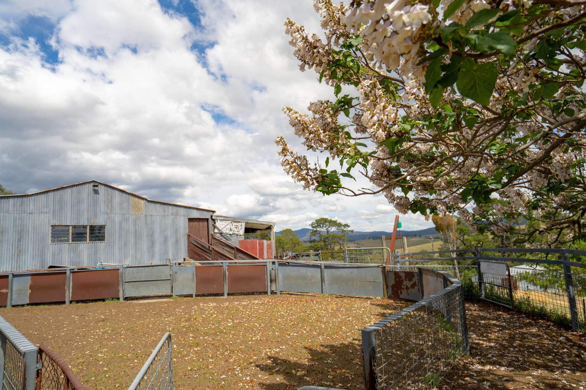 6 Scott Road, Ensay For Sale by Farmbuy.com - image 11