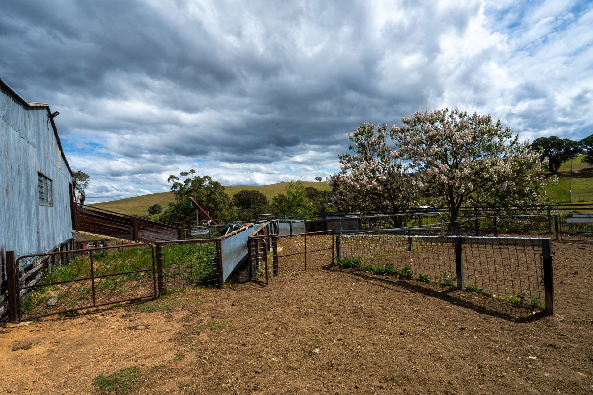 6 Scott Road, Ensay For Sale by Farmbuy.com - image 12