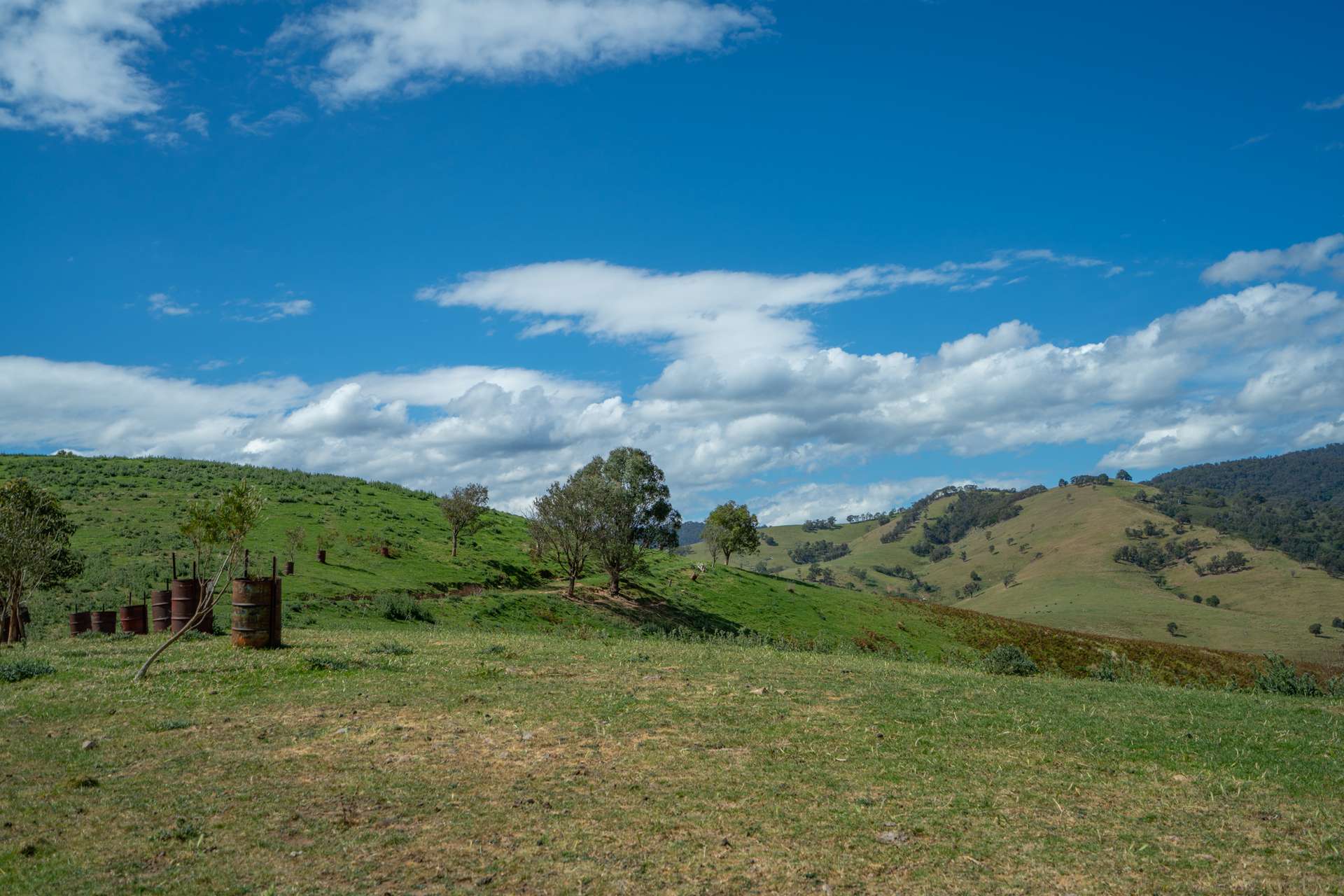 6 Scott Road, Ensay For Sale by Farmbuy.com - image 13