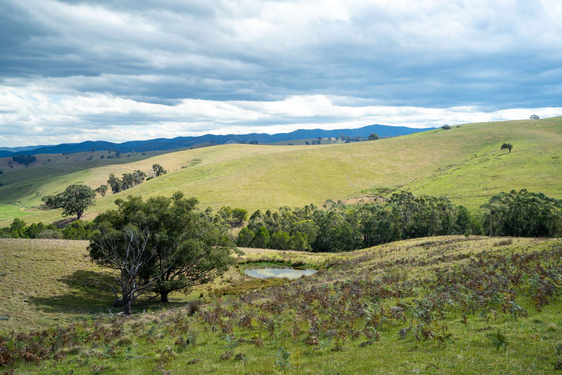 6 Scott Road, Ensay For Sale by Farmbuy.com - image 14