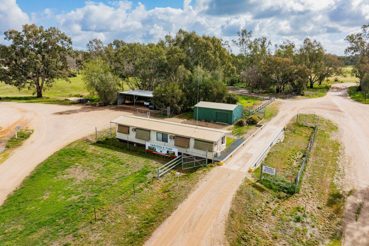 2 Gillard Road, East Wagga Wagga For Sale by Farmbuy.com - image 8