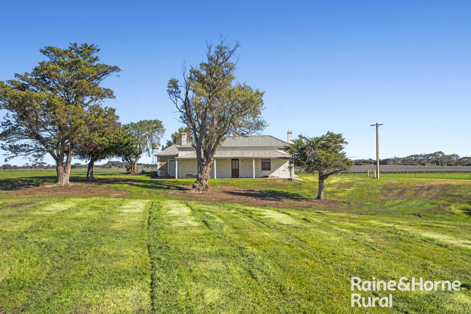 144 Verco Road, Langhorne Creek For Sale by Farmbuy.com - image 3